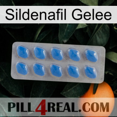 Sildenafil Jelly 22